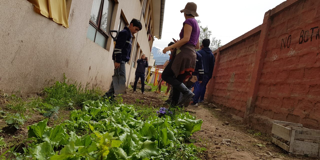 Estudiantes de Escuela El Sauce participan en taller de huertos escolares