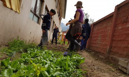 Estudiantes de Escuela El Sauce participan en taller de huertos escolares