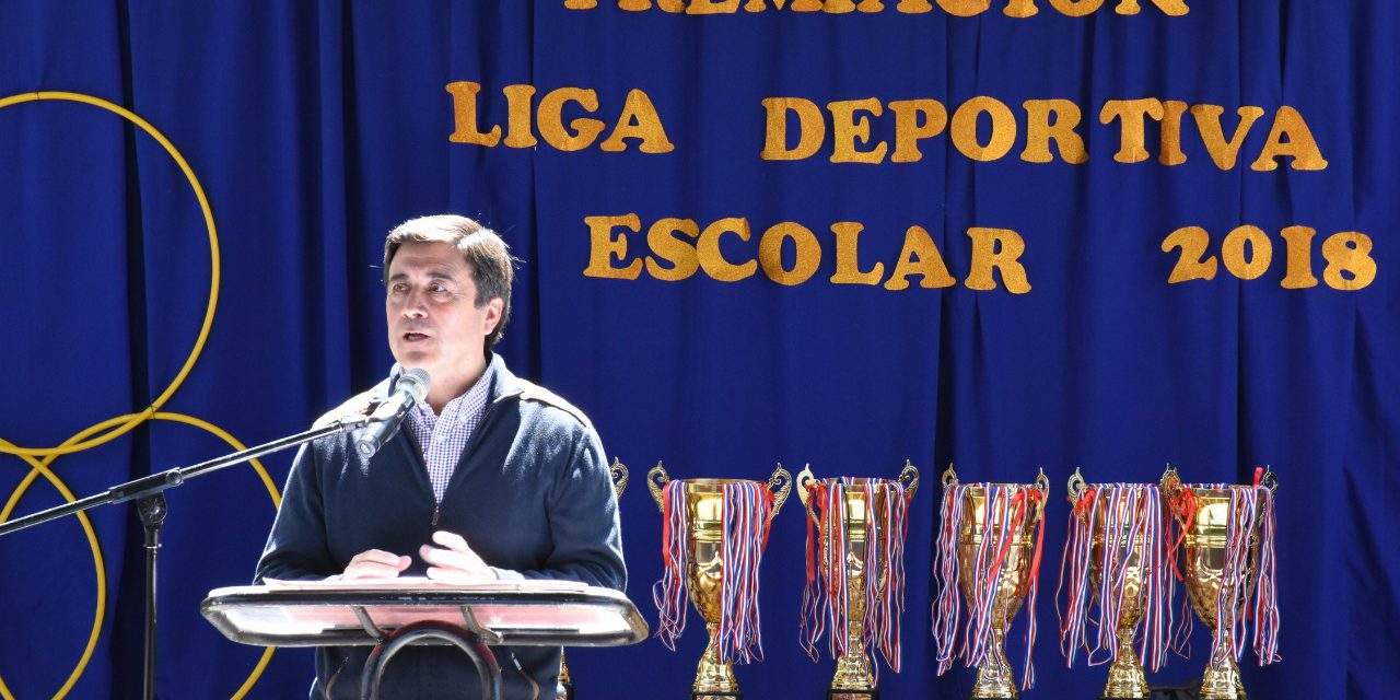 Comprometida participación de establecimientos educacionales en Liga Deportiva Escolar 2018