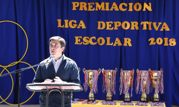 Comprometida participación de establecimientos educacionales en Liga Deportiva Escolar 2018