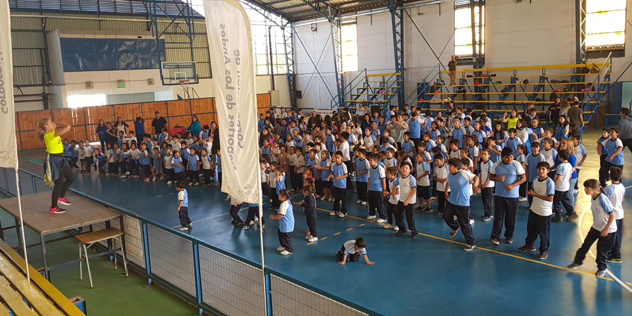 Establecimientos municipales buscan potenciar la práctica de actividad física y alimentación saludable