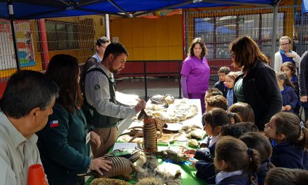 Organismos de apoyo y seguridad participan en feria de convivencia de Escuela El Sauce