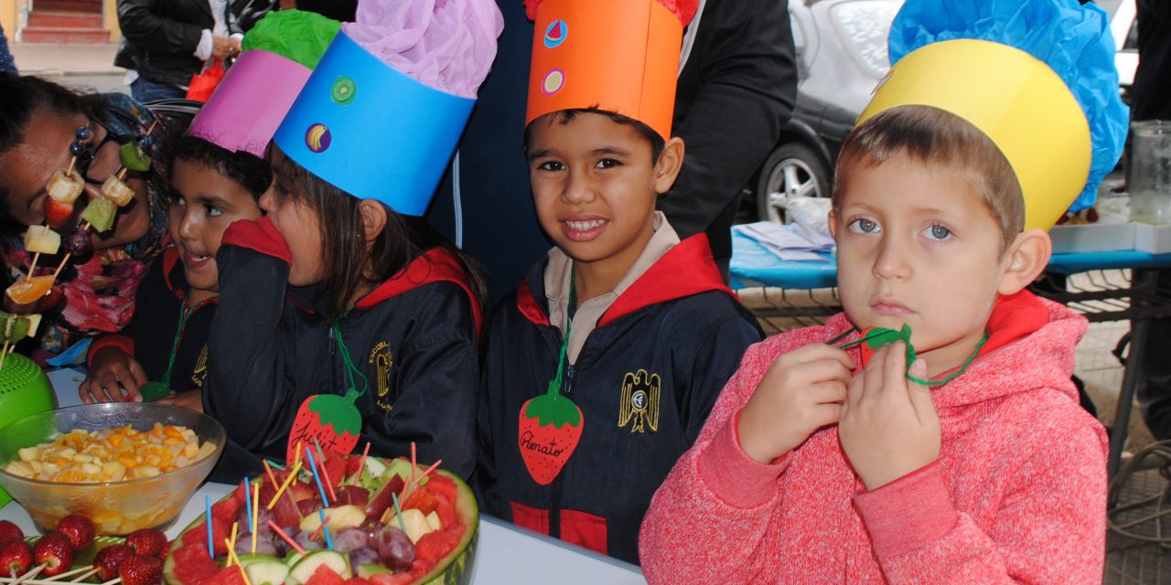 Mesa Salud-Educación de Los Andes adquiere recursos para potenciar hábitos de vida saludable en niños y niñas de la comuna