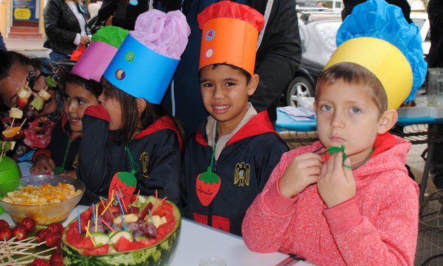 Mesa Salud-Educación de Los Andes adquiere recursos para potenciar hábitos de vida saludable en niños y niñas de la comuna