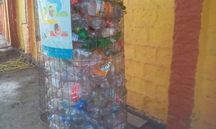 Programa de Integración Escolar de Los Andes se la juega por el reciclaje