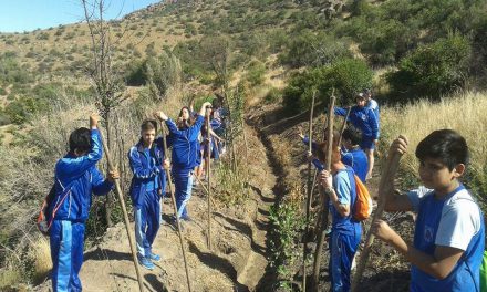 Ministerio de Medio Ambiente certifica a Escuela Ignacio Carrera Pinto como “Escuela Sustentable” en su nivel intermedio