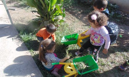 Hasta el 30 de diciembre se extiende proceso de postulación a jardines infantiles o sala cuna