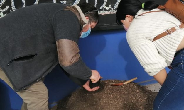 En Liceo Bicentenario Técnico Amancay inician proyecto “Apadrina un Árbol”