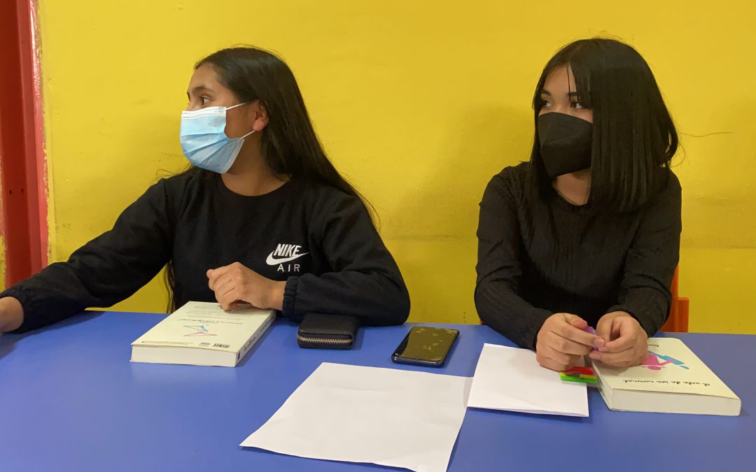 En Liceo Bicentenario Técnico Amancay desarrollan taller “Leyendo la Diversidad”
