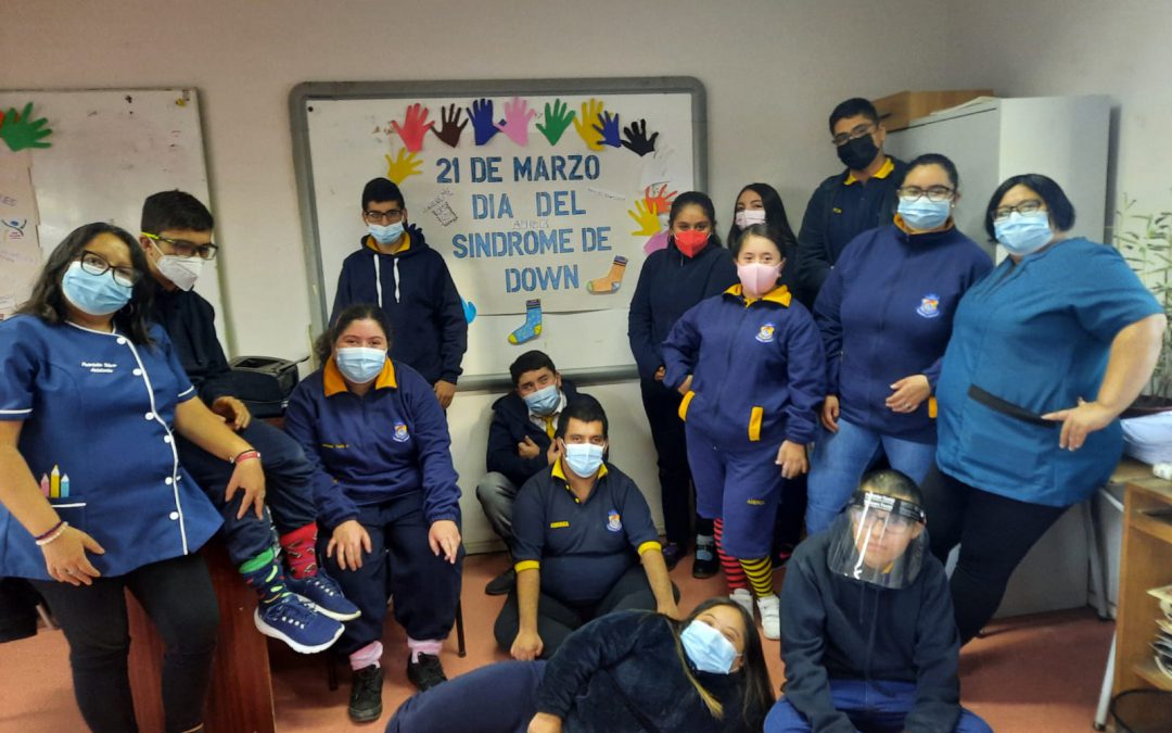 Establecimientos educacionales adhirieron al Día Mundial del Síndrome de Down
