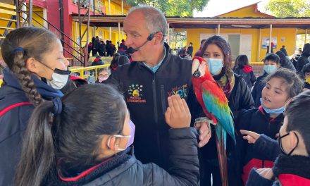 Alumnos de escuelas municipales conocen el mundo animal gracias a visita de la muestra “Selva Viva”